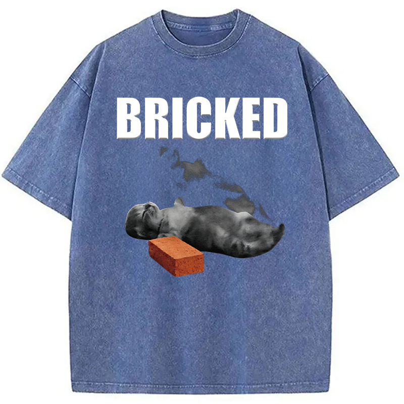 Modecanvas Bricked Funny Cat Knocked Out DTG Printing Washed T-Shirt