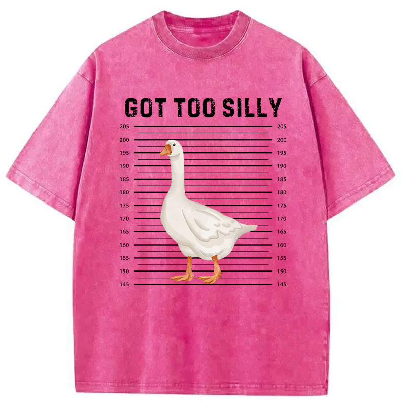 Modecanvas Funny Silly Goose Meme Washed T-Shirt