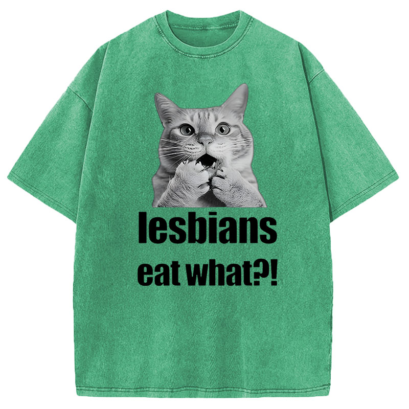 Modecanvas Lesbians Eat What? Funny Gay Joke DTG Printing Washed T-Shirt