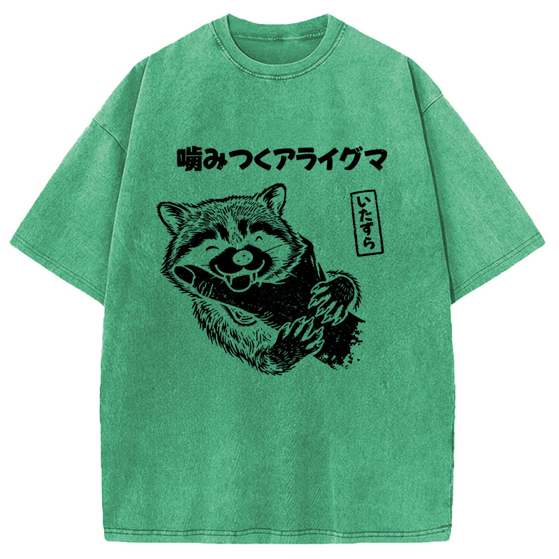 Modecanvas Mischief Raccoon DTG Printing Washed T-Shirt