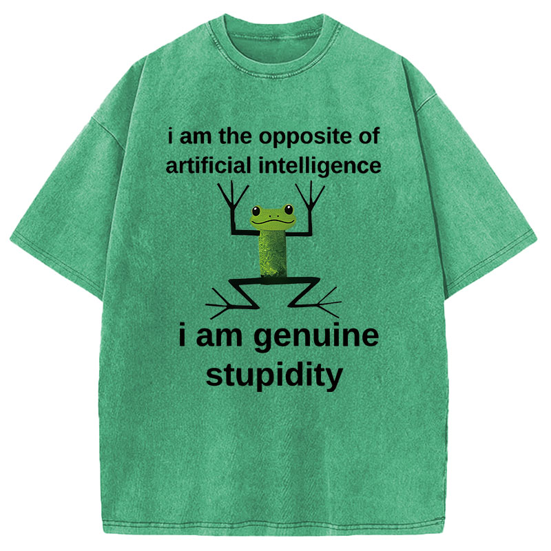 Modecanvas Genuine Stupidity Frog Meme DTG Printing Washed T-Shirt
