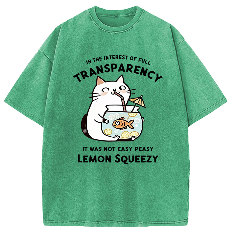 Modecanvas Cat Stealing Fishbowl Lemonade DTG Printing Washed T-Shirt