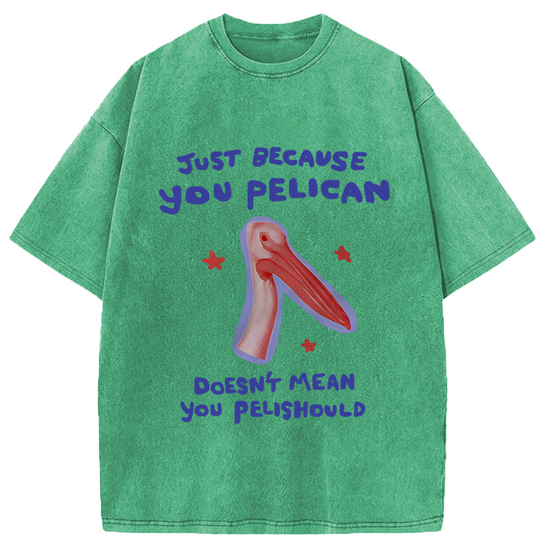 Modecanvas Just Because You Pelican DTG Printing Washed T-Shirt