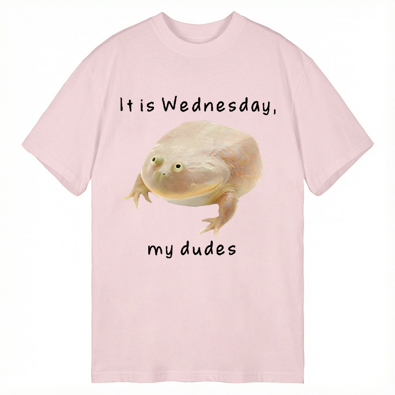 Modecanvas It's Wednesday my dudes DTG Printing Classic T-Shirt-modecanvas