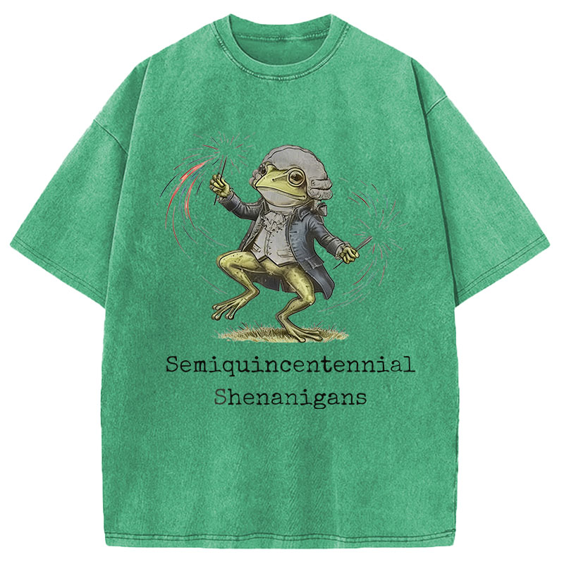 Modecanvas Funny Frog Semiquincentennial DTG Printing Washed T-Shirt
