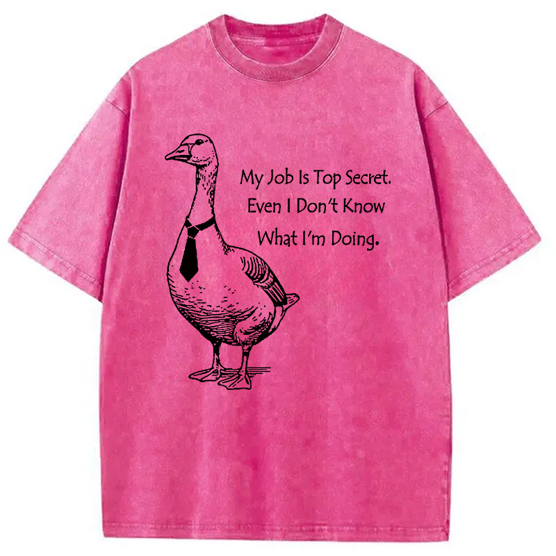 Modecanvas Serious Goose Funny Washed T-Shirt