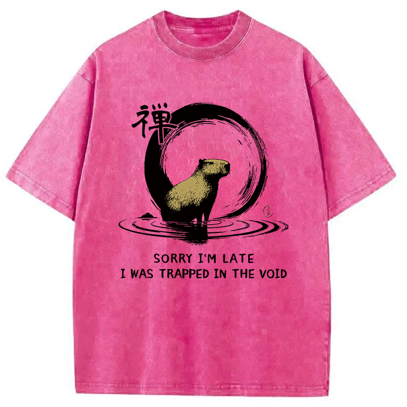Modecanvas Zen Capybara Was Trapped In The Void Washed T-Shirt