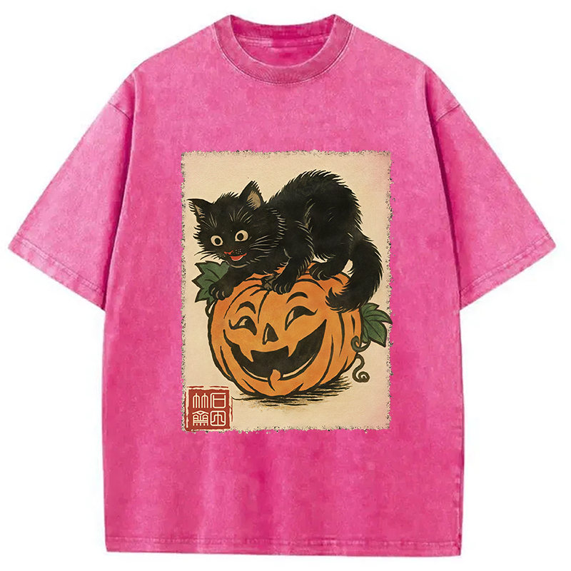 Modecanvas Black Cat And Pumpkin Washed T-Shirt
