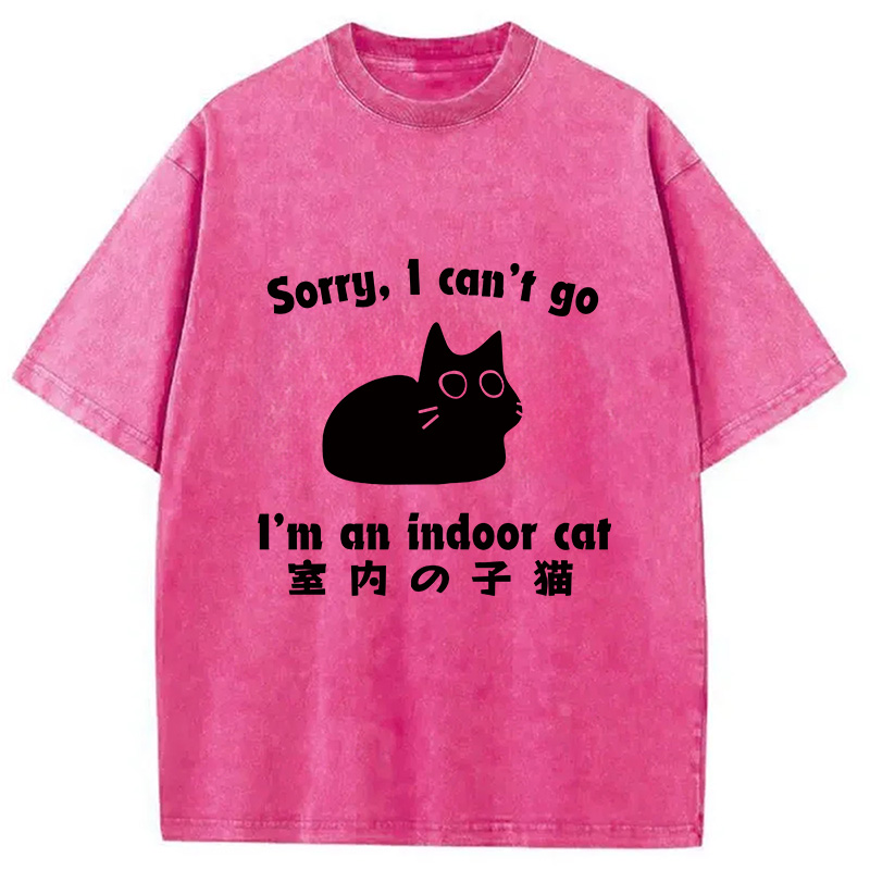 Modecanvas Indoor Kitten Washed T-Shirt-modecanvas