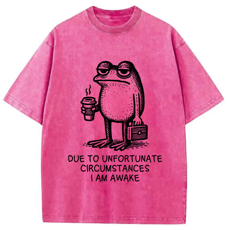 Modecanvas Decadent Frog Washed T-Shirt