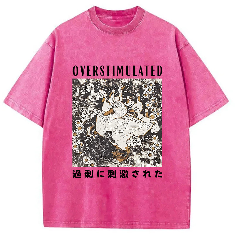Modecanvas Overthinking Duck Washed T-Shirt