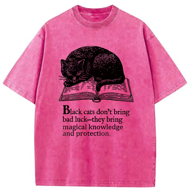 Modecanvas Black Cat Sleeping On A Book Washed T-Shirt