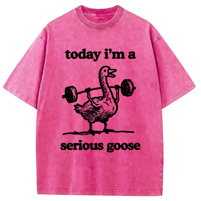 Modecanvas Fitness Goose Washed T-Shirt