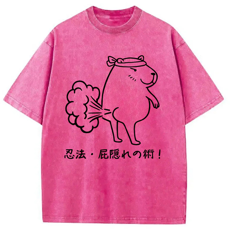 Modecanvas Funny Ninjutsu Fart Hiding Technique Washed T-Shirt