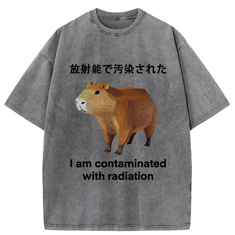 Modecanvas Capybara Contaminated By Radiation Washed T-Shirt-modecanvas