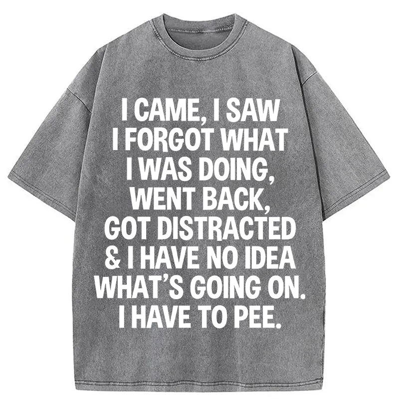 Modecanvas I Came I Saw I Forgot What I Was Doing DTG Printing Washed T-Shirt
