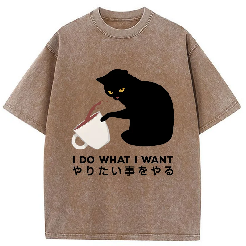 Modecanvas Tsundere Cat Funny Washed T-Shirt