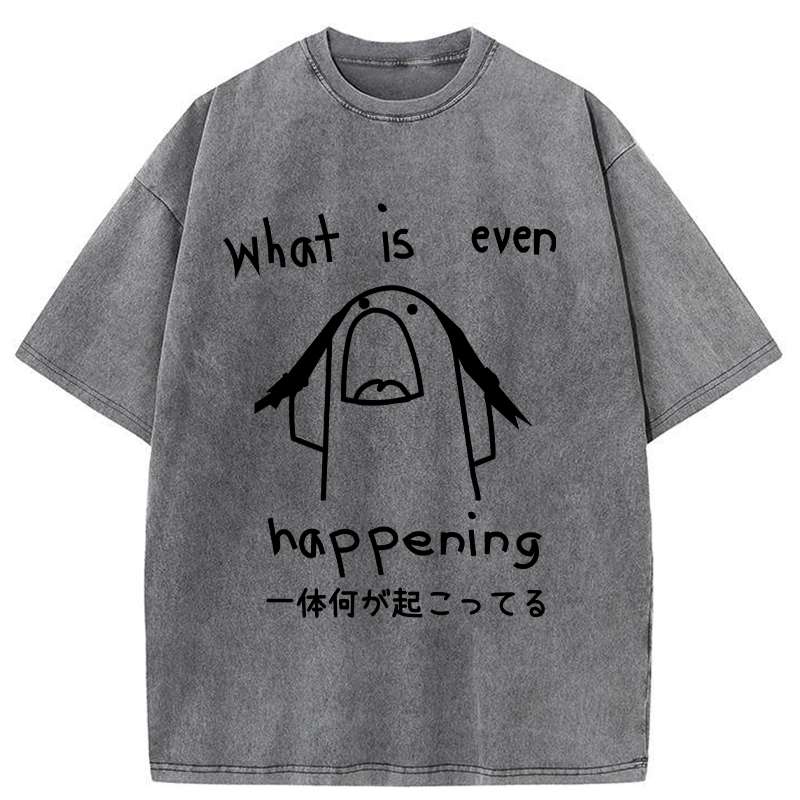 Modecanvas What Is Even Happening Washed T-Shirt-modecanvas