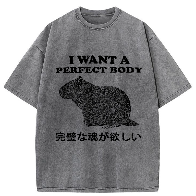 Modecanvas I Want A Perfect Body Washed T-Shirt