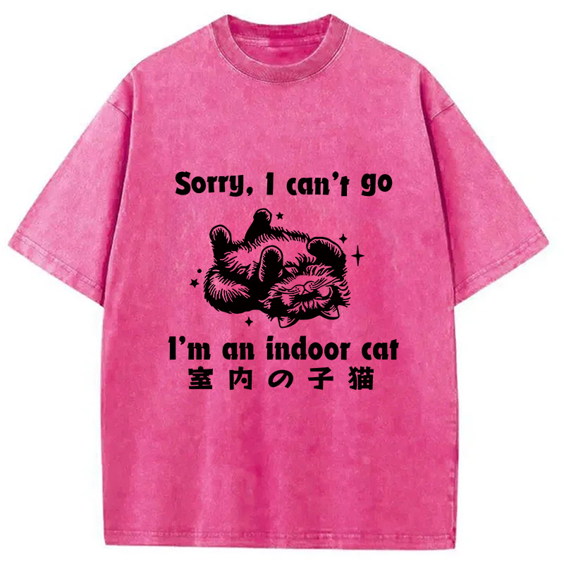 Modecanvas House Cat Washed T-Shirt