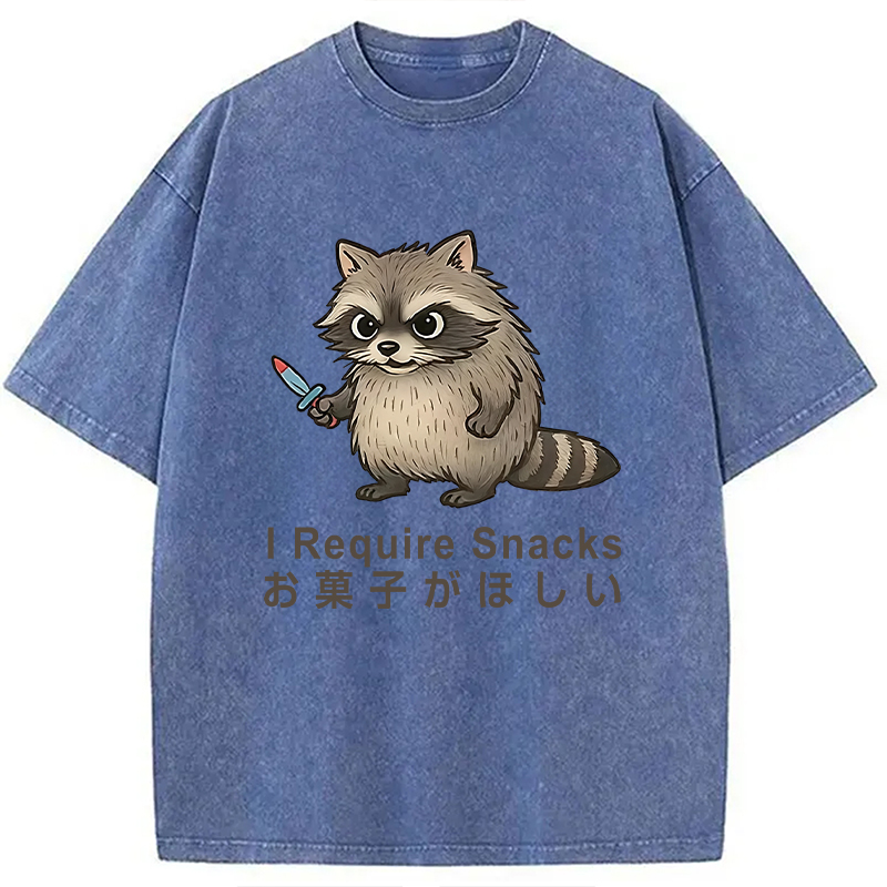 Modecanvas Raccoons Need Snacks Funny Washed T-Shirt
