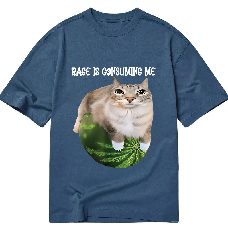 Modecanvas Rage Is Consuming Me Cat Meme DTG Printing Classic T-Shirt-modecanvas