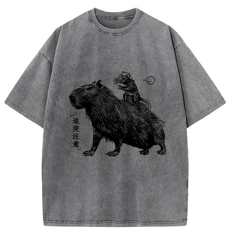 Modecanvas Mouse Riding A Capybara Washed T-Shirt