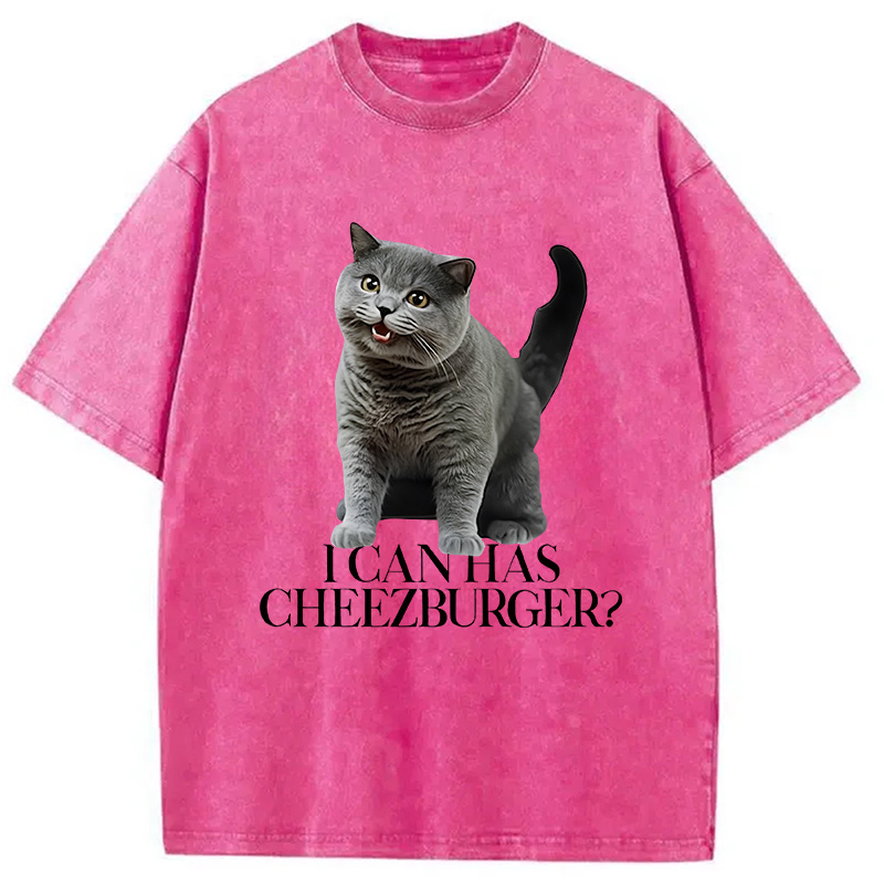 Modecanvas I Can Has Cheezburger Washed T-Shirt