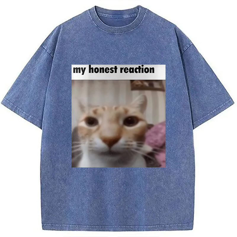 Modecanvas My Honest Reaction Cat Meme Washed T-Shirt