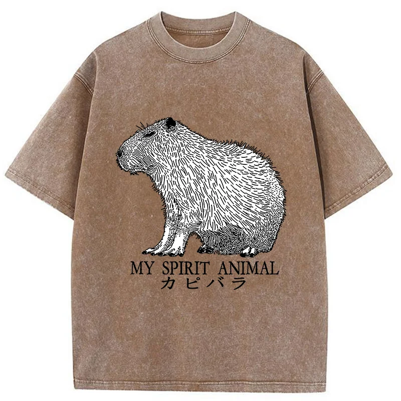 Modecanvas Capybara Spirit Washed T-Shirt