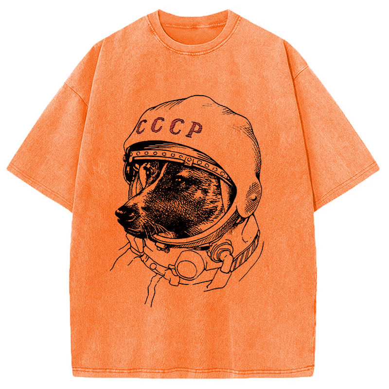 Modecanvas Astro Dog Washed T-Shirt