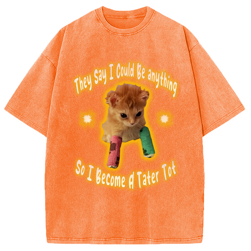 Modecanvas Tater Tot Cat Funny Meme Washed T-Shirt