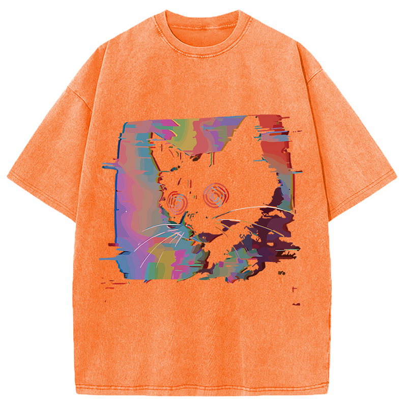 Modecanvas Glitch Cat Washed T-Shirt