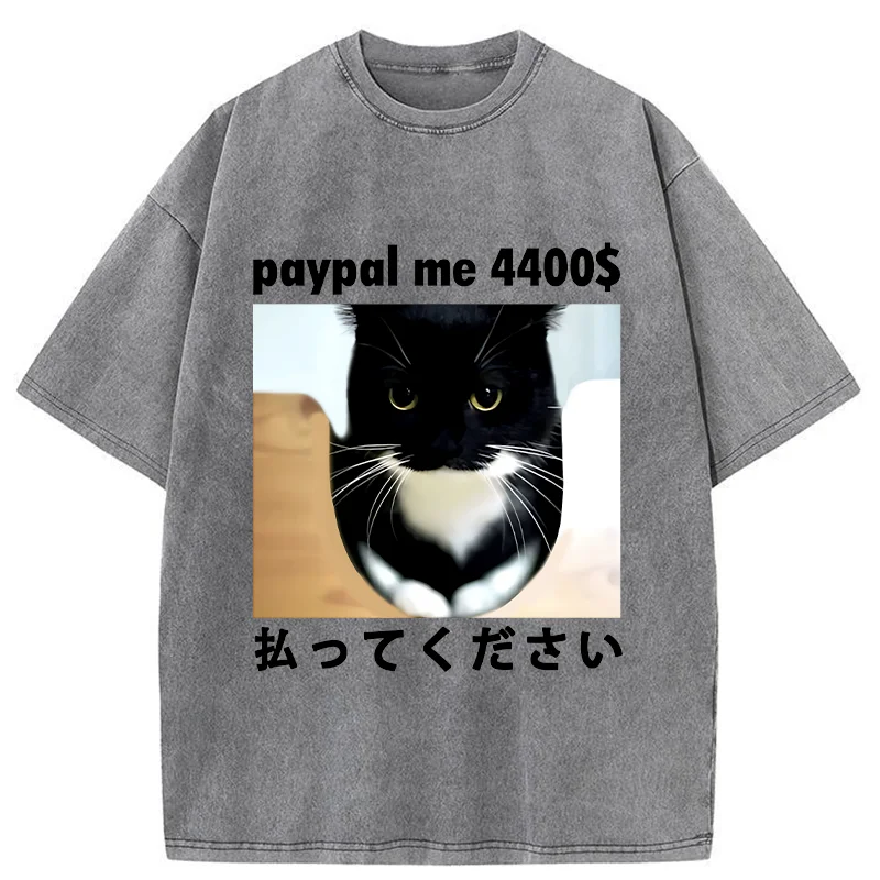 Modecanvas Please Give The Cat Money Washed T-Shirt