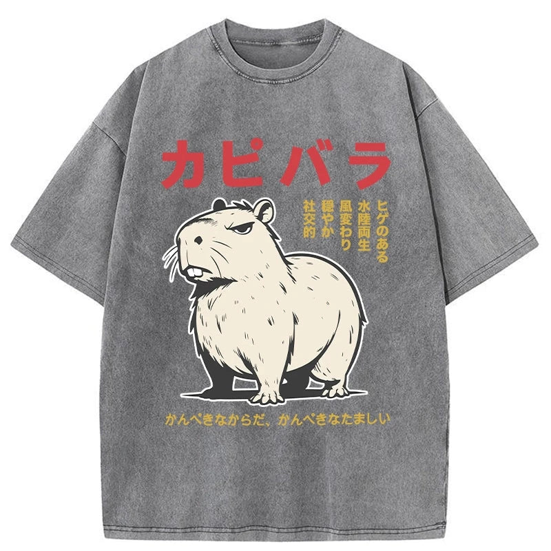 Modecanvas Angry Capybara Japan Washed T-Shirt