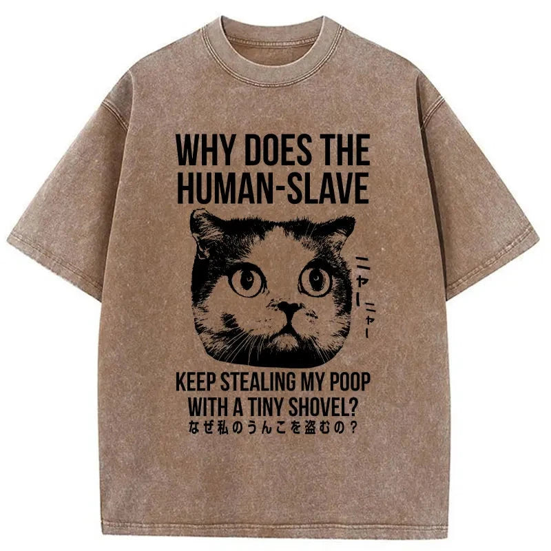 Modecanvas Cat Thinking About human Washed T-Shirt