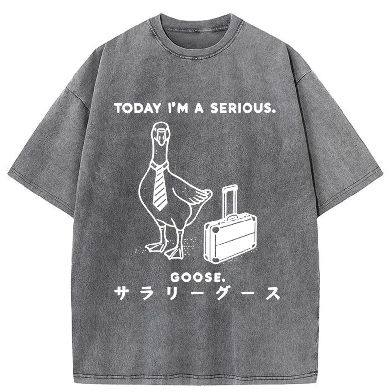 Modecanvas Hard Working Goose Washed T-Shirt