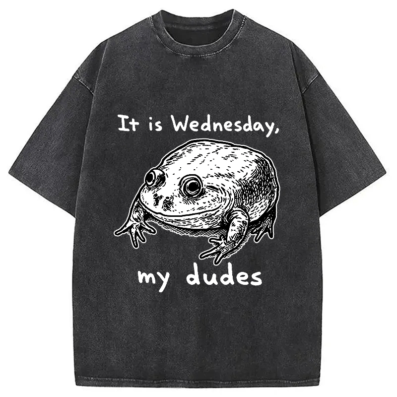 Modecanvas Wednesday Frog Vintage Washed T-Shirt-modecanvas