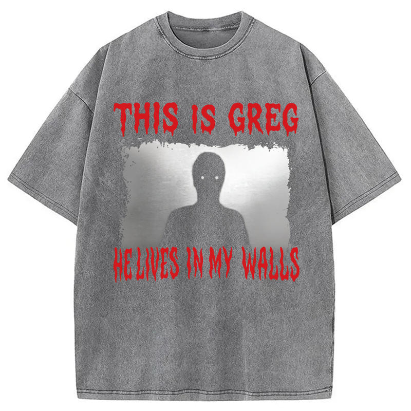 Modecanvas This Is Greg Funny Schizo Meme DTG Printing Washed T-Shirt-modecanvas