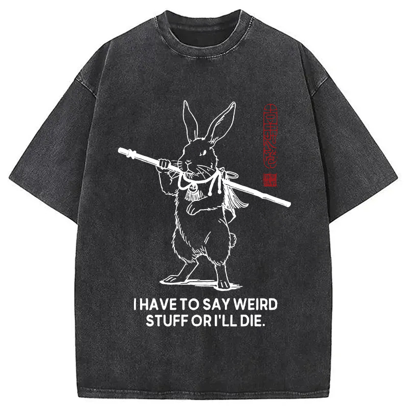 Modecanvas I Have To Say DTG Printing Washed T-Shirt
