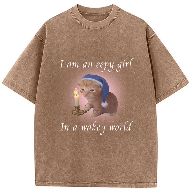 Modecanvas Eepy Girl Cat Meme DTG Printing Washed T-Shirt