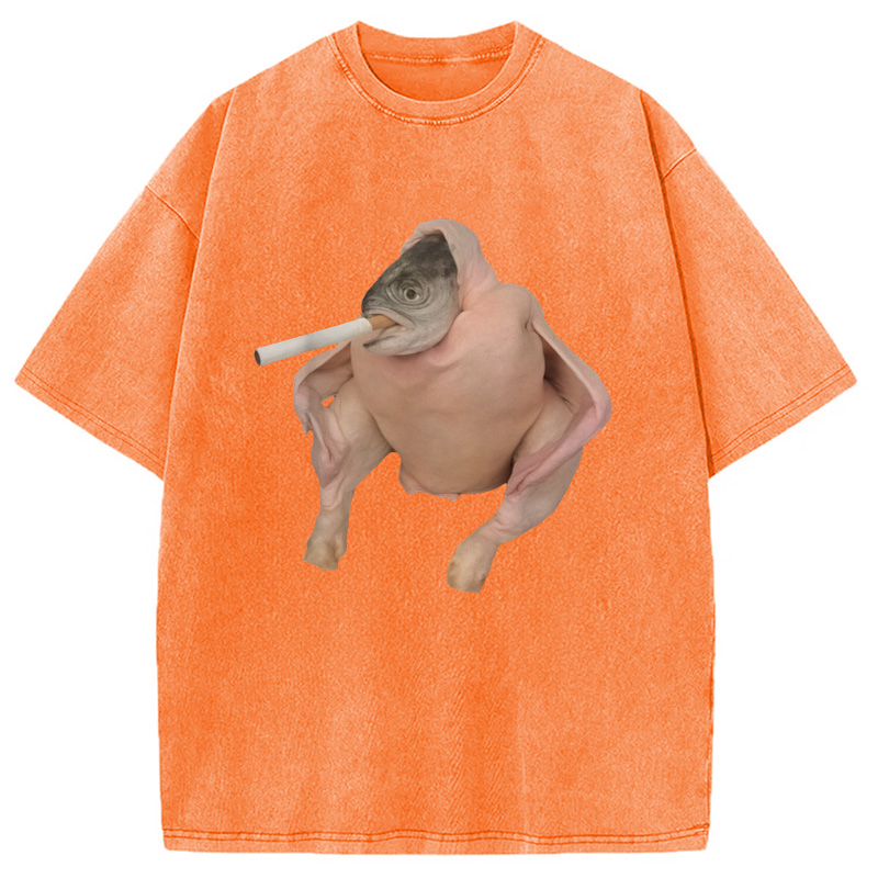 Modecanvas Fish Chicken Face Smoking a Cigarette Funny Meme Washed T-Shirt