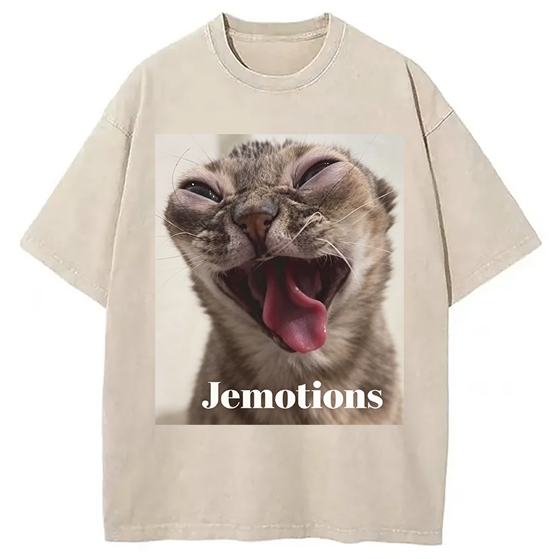 Modecanvas Jemotions Cat Meme DTG Printing Washed T-Shirt