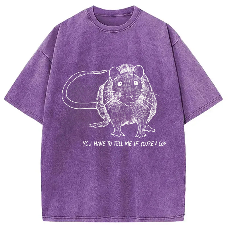 Modecanvas You Have To Tell Me If You Are A Cop Funny Rat Meme DTG Printing Washed T-Shirt