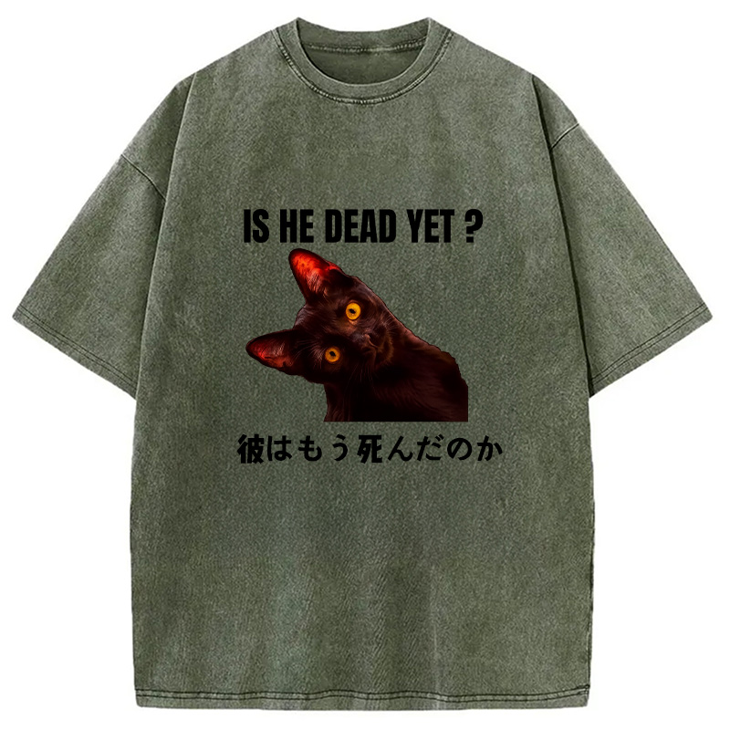 Modecanvas Is He Dead Yet Washed T-Shirt
