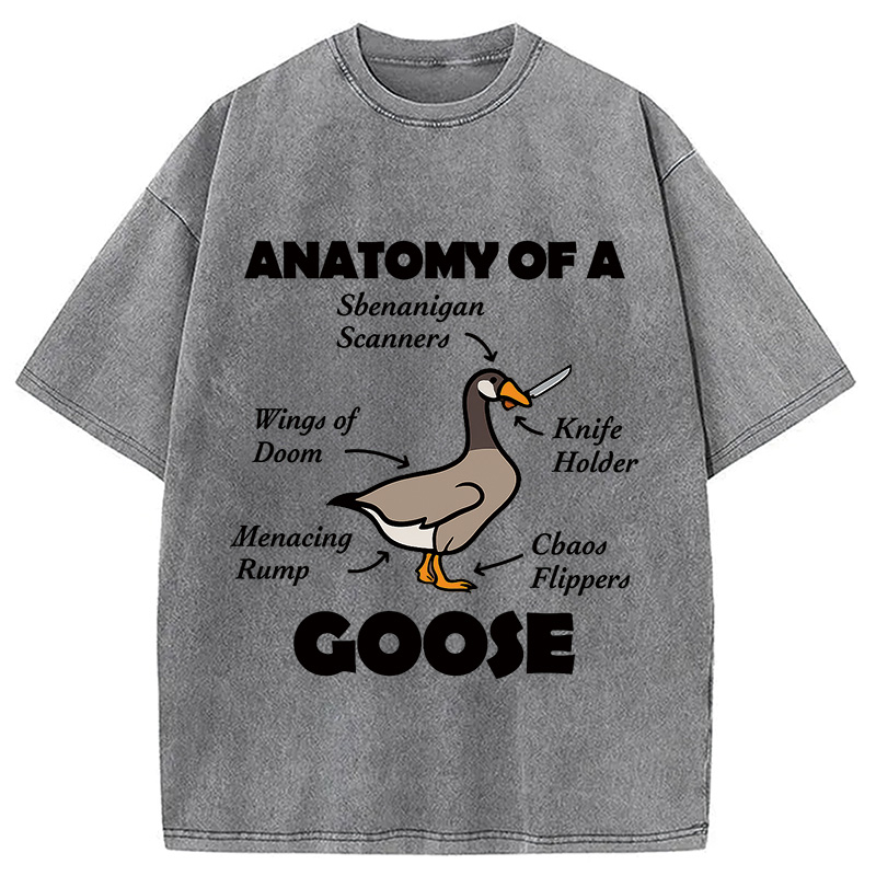 Modecanvas Anatomy of A Goose Washed T-Shirt