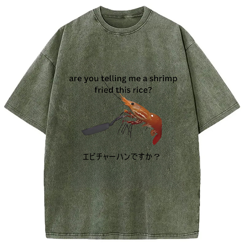Modecanvas Are You Telling Me a Shrimp Fried This Rice Washed T-Shirt