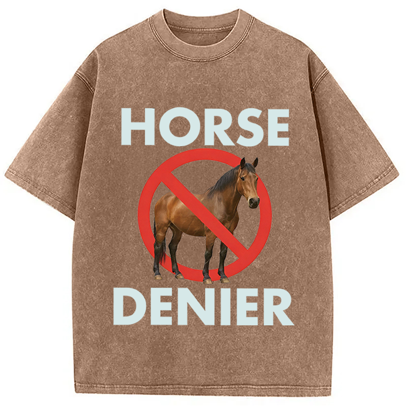 Modecanvas Funny Horse Denier Conspiracy Theory Washed T-Shirt-modecanvas