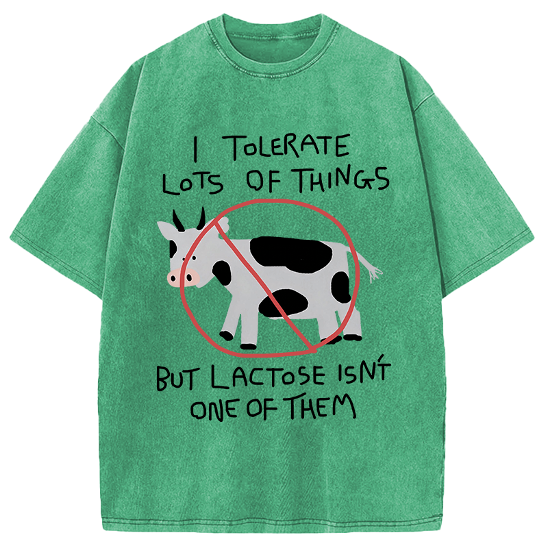 Modecanvas I Tolerate Lots Of Things DTG Printing Washed T-Shirt