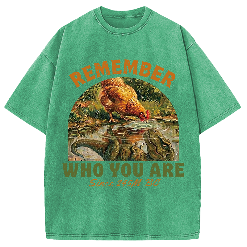 Modecanvas Remember Who You Are Funny DTG Printing Washed T-Shirt